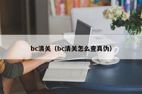 bc意思|BC 在初級英語詞典中的意思